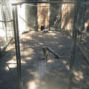 Frydenlund Fuglepark - Chicken aviary #2