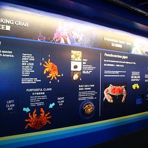 SEA Aquarium - New signage