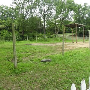 Asian Elephant paddock - Circus World Museum