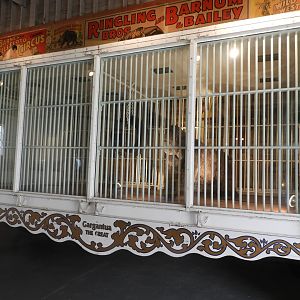 1930s-era Ringling Bros. and Barnum & Bailey Circus Mountain Gorilla circus wagon - Circus World Museum