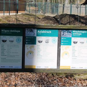 Signs Asian enclosures