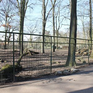 Nilgai and Blackbuck-enclosure