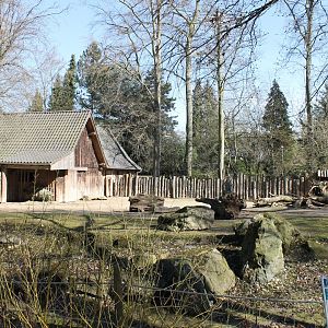 Muskox-enclosure