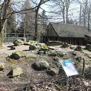 Dall sheep enclosure