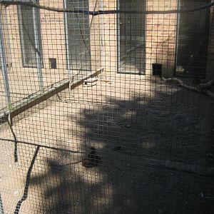 Frydenlund Fuglepark - Chicken aviary #3