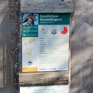 Sign Goodfellow tree kangaroo