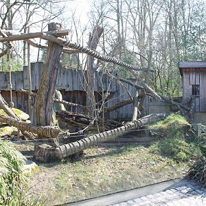 Outdoor Tree kangaroo-enclosure