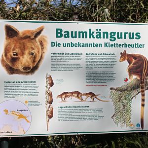 Info-sign Tree kangaroo