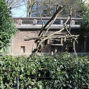 Second Tree kangaroo-enclosure