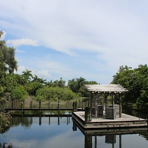 Wings over Water Bird Show