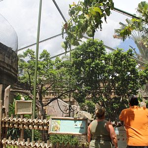Monkey Mania - Squirrel Monkey Exhibit