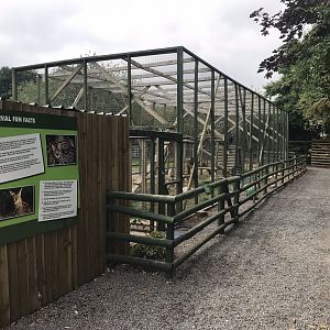 Serval enclosure 210718