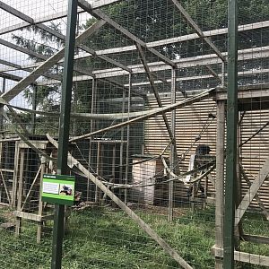 Binturong enclosure 210718