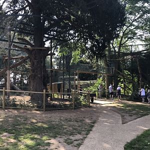 Amur leopard enclosures 070818