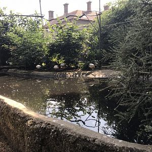 Walkthrough aviary 070818