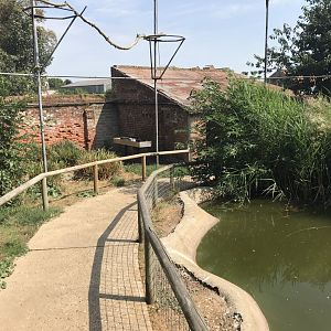 Walkthrough aviary 070818