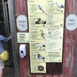 Inhabitants of walkthrough aviary...070818...