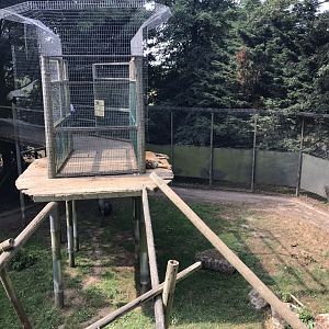 Sumatran tiger enclosure 070818