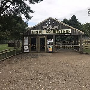 Entry to Lemur Encounters walkthrough 080818