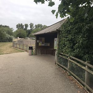 Covered viewing area for African hunting dogs 080818