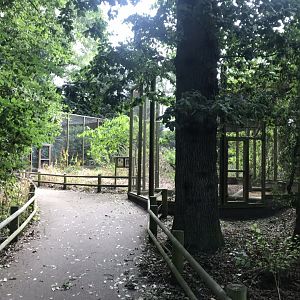 Aviaries 080818