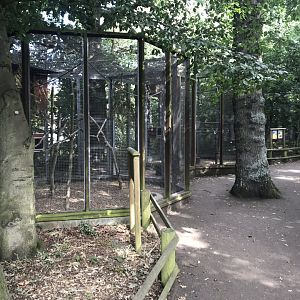 Aviaries 080818