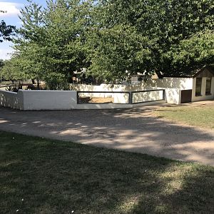 Meerkat enclosure 080818