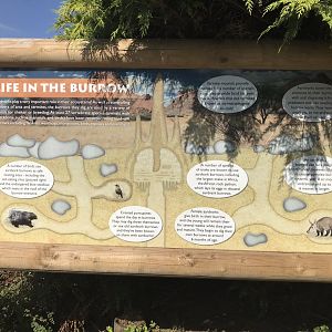 Signage example 080818