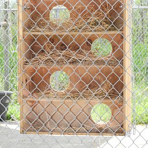 New Giraffe enrichment items