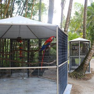 Parrot Cages - Mccarthy Wildlife Sanctuary