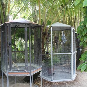 Marmoset Cages - Mccarthy Wildlife Sanctuary