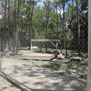 Bengal Tiger Enclosure - Mccarthy Wildlife Sanctuary