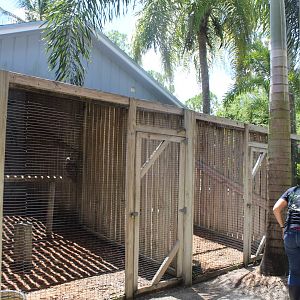 Birds of Prey Cages (Barred Owl, Turkey Vulture, Great-Horned Owl) - Mccarthy Wildlife Sanctuary
