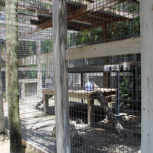 Snow Leopard Enclosure - Mccarthy Wildlife Sanctuary