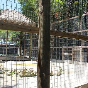 White Tiger Enclosure - Mccarthy Wildlife Sanctuary