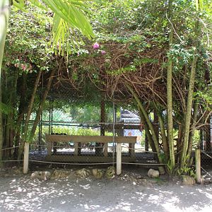 White Lion Enclosure - Mccarthy Wildlife Sanctuary