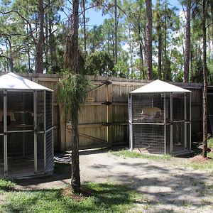Kinkajou Cages - Mccarthy Wildlife Sanctuary
