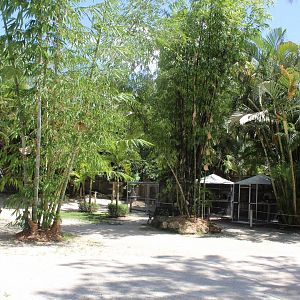 General Overview - Mccarthy Wildlife Sanctuary