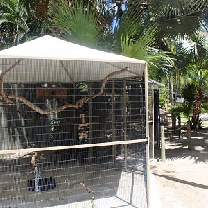 Tucan Cage - Mccarthy Wildlife Sanctuary