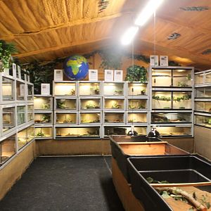 Snake Farm Overview - Mccarthy Wildlife Sanctuary