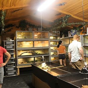 Snake Farm Overview - Mccarthy Wildlife Sanctuary