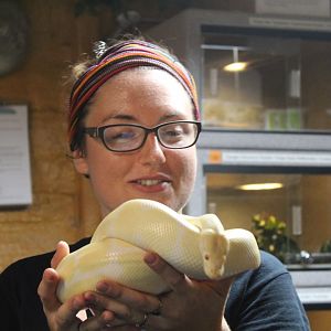 Python Handiling - Mccarthy Wildlife Sanctuary