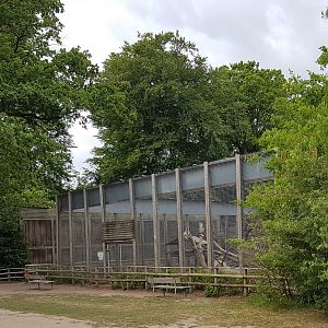 Barbary monkey-enclosure