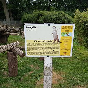 Sign Small-clawed otter