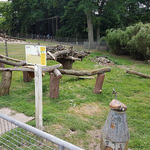 Land-part Small-clawed otter-enclosure