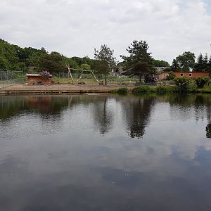 Small-clawed otter ( at the front ) and Coypu-enclosure ( at the back )