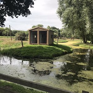 One of several Lemur islands 080818