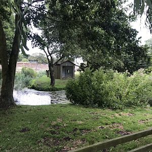 Another Lemur Island 080818