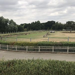 Savannah exhibit 080818