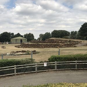 Savannah exhibit 080818